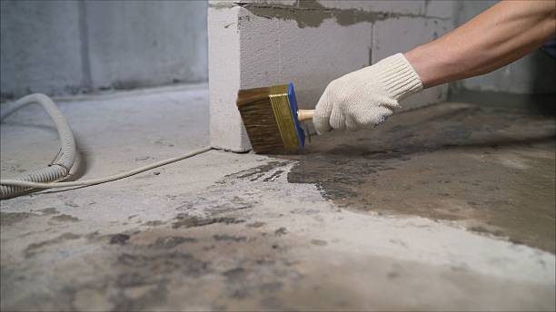 SJ Waterproofing Pros Crawl Space Encapsulation coverage map for Ithaca, NY and surrounding area